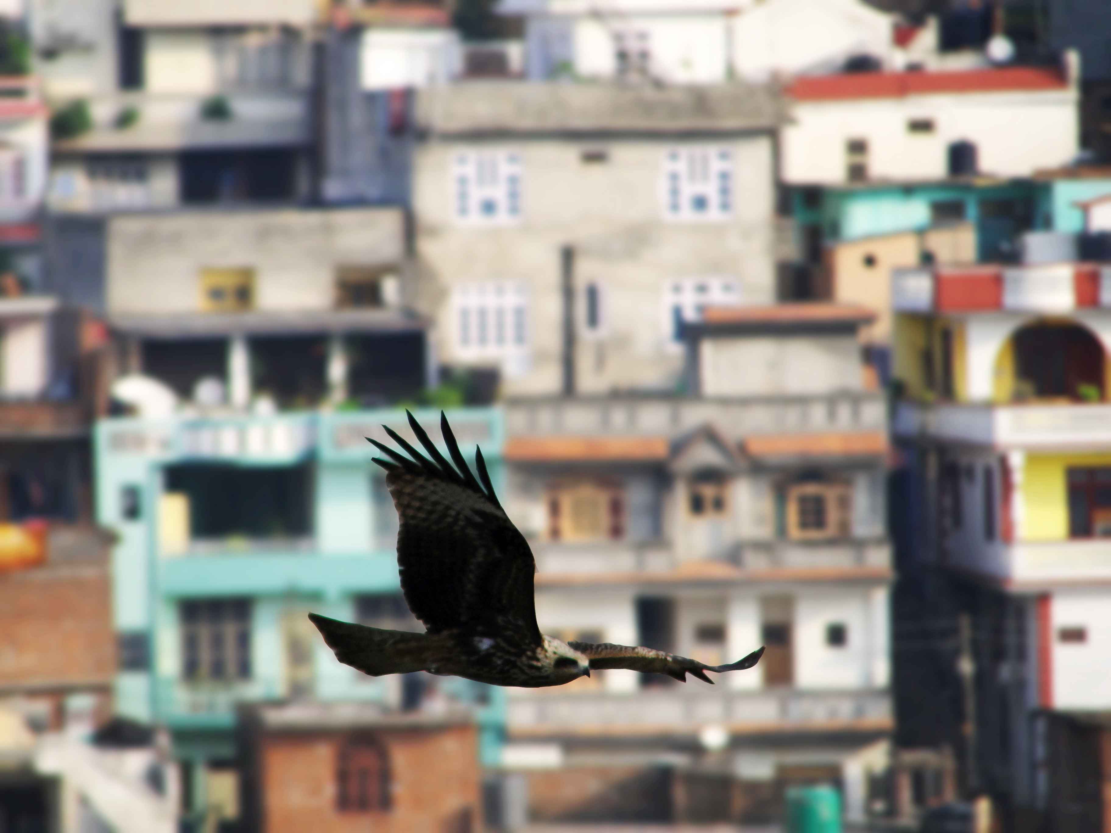 Photography by Surya Teja